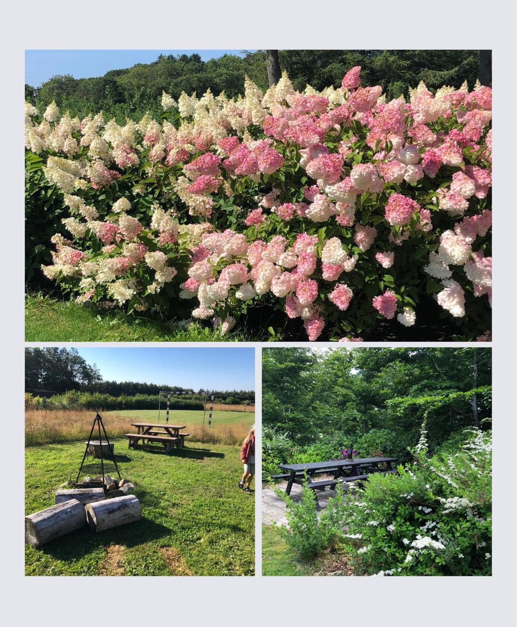 Egebjerggaard Bed & Breakfast Sig ภายนอก รูปภาพ